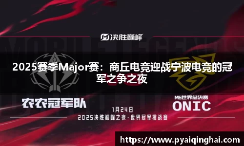 2025赛季Major赛：商丘电竞迎战宁波电竞的冠军之争之夜