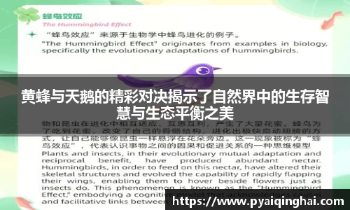 平博pinnacle注册登录