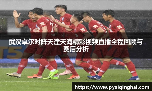 武汉卓尔对阵天津天海精彩视频直播全程回顾与赛后分析
